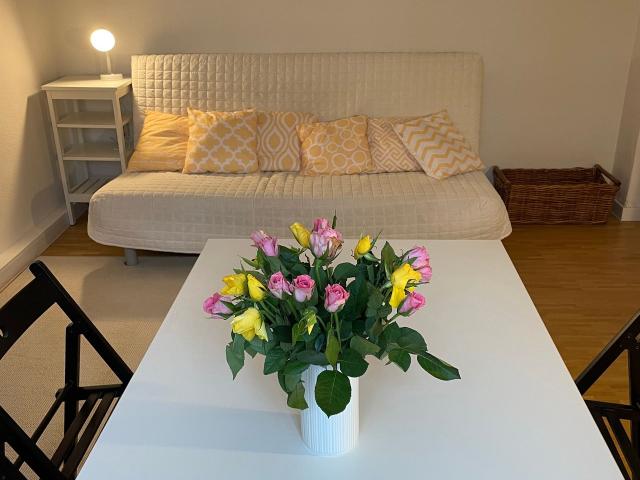 Quiet apartment Hannover, near the lake and city forest, Hannover Amsterdam Apartments for Rent