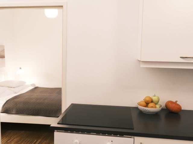 Quiet Apartment with private patio in typical Viennese Building
