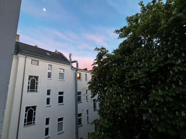 Quiet charming apartment Berlin Mitte