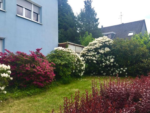 Quiet, comfortable apartment, within walking distance of Messe Essen and Büropark Bredeney, Essen Amsterdam Apartments for Rent