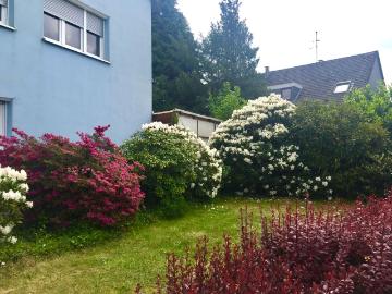 Quiet, comfortable apartment, within walking distance of Messe Essen and Büropark Bredeney, Essen Amsterdam Apartments for Rent