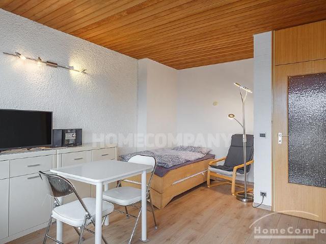 Bright, furnished apartment with a stunningly large rooftop terrace in Milbertshofen