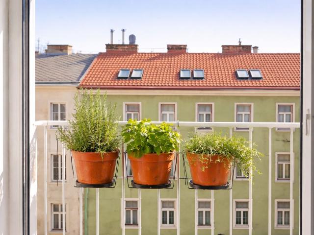 Quiet Living in a Vibrant Central Area, Vienna Amsterdam Apartments for Rent