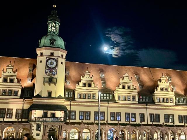 Quiet penthouse, south facing roof terrace & city views – central, with workspace & A/C, Leipzig Amsterdam Apartments for Rent