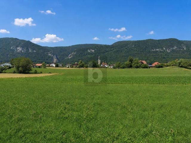 QUIET PLACE WITH JURA AND ALPINE PANORAMA