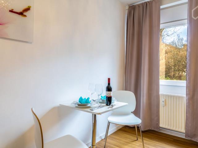 Quiet small luxury flat city centre Mainz, Mainz Amsterdam Apartments for Rent