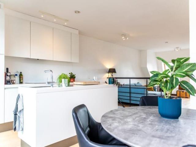 Quietly located sunny penthouse near trendy Zuidpark