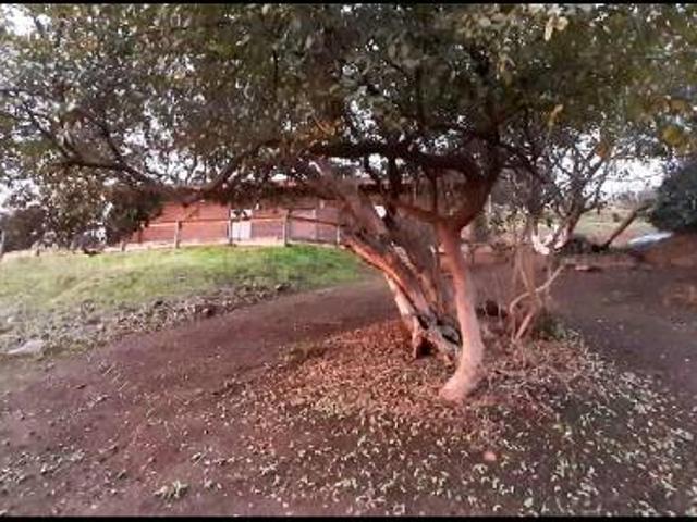 Quillota arriendo casaLoft 1D 1B en parcela 5.000 m2
