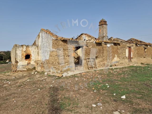 Quinta com 3 ha viva no campo sem abdicar da cidade