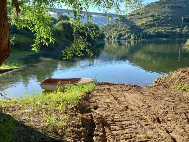 Quinta em Lamego