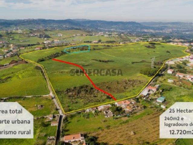 Quinta 25 hectares