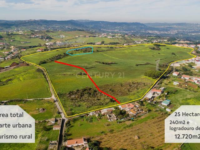 Quinta 25 hectares