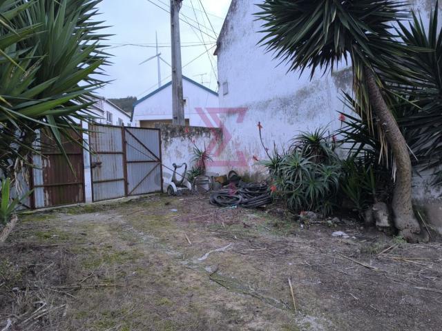 Quinta