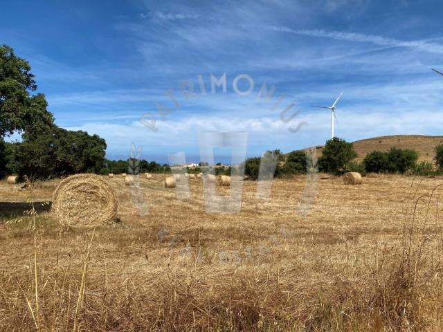 Quinta 7,5ha Porto Covo