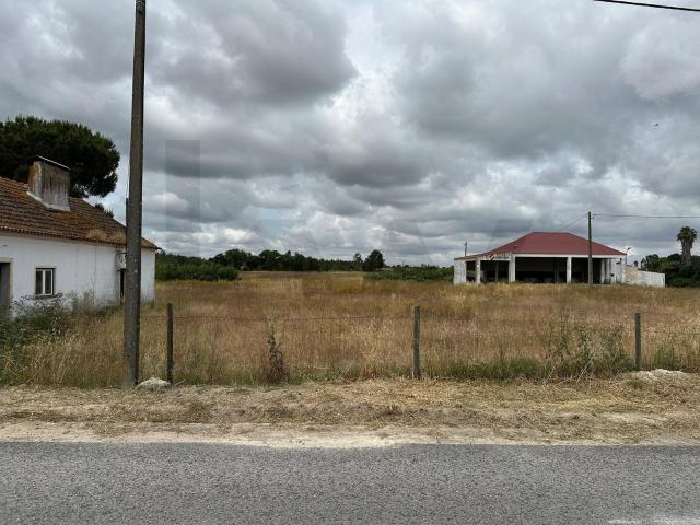 Quinta