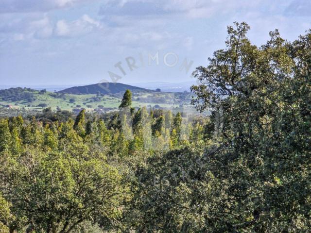 Quinta 4,5ha Grandola