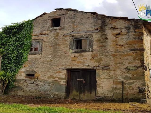 Quinta