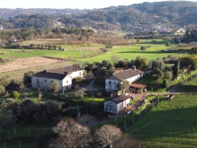 Quinta