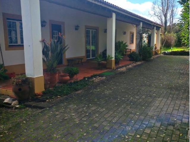 Quinta