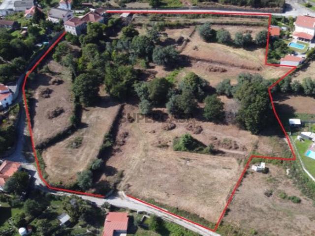 Quinta