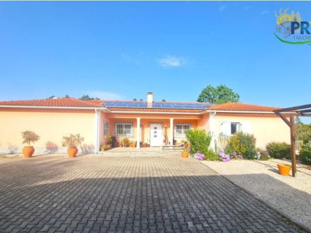 Quinta