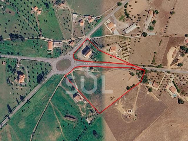 Quinta