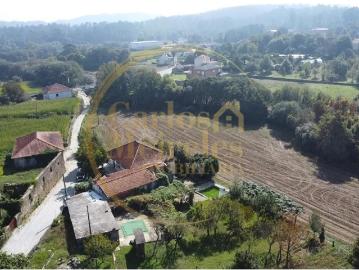 Quinta