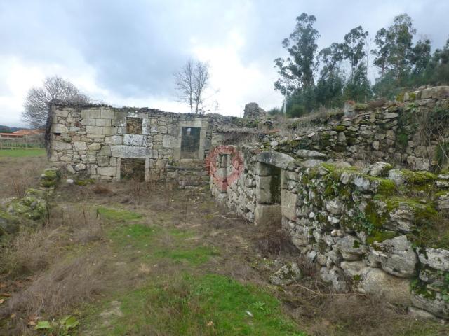 Quinta