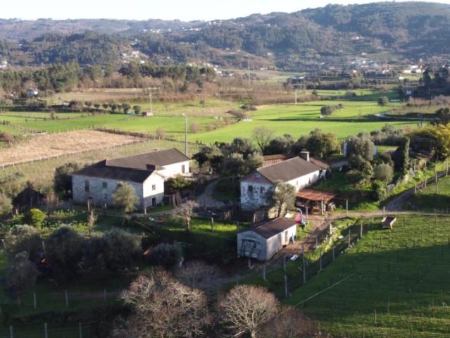 Quinta