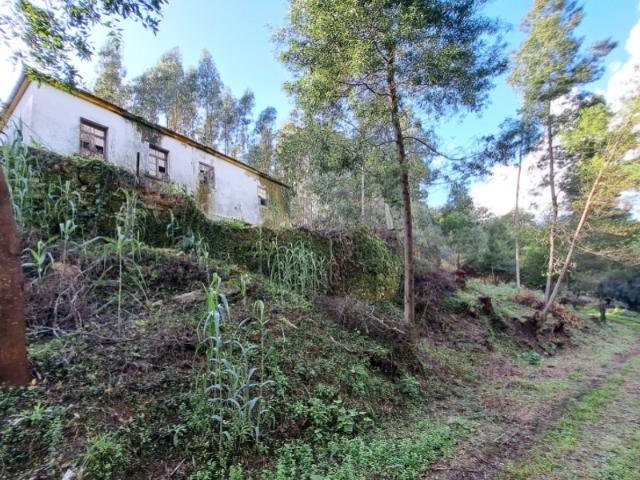 Quinta