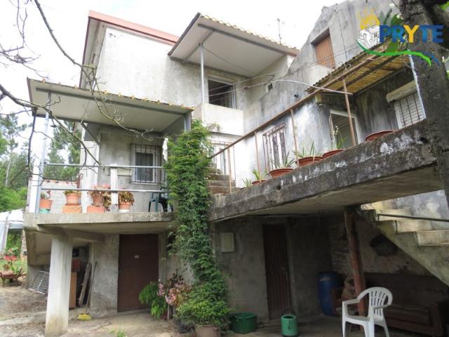 Quinta