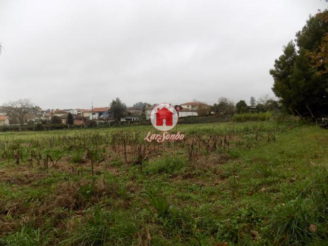Quinta c/ 9158 m2 em Lousado, Vila Nova de Famalicão