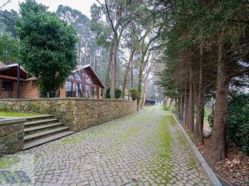 Quinta C/ 3 moradias