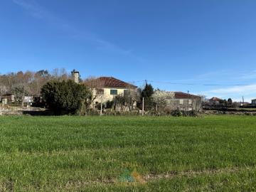 Quinta c/ Moradia V4 em Panque, Barcelos