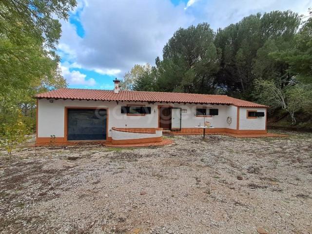 Quinta com mais de 2 hectares em São Pedro de Tomar