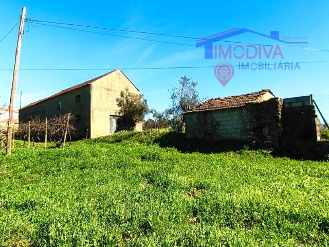 Quinta com mais de um héctar de terreno, em Graça, Pedrogão Grande