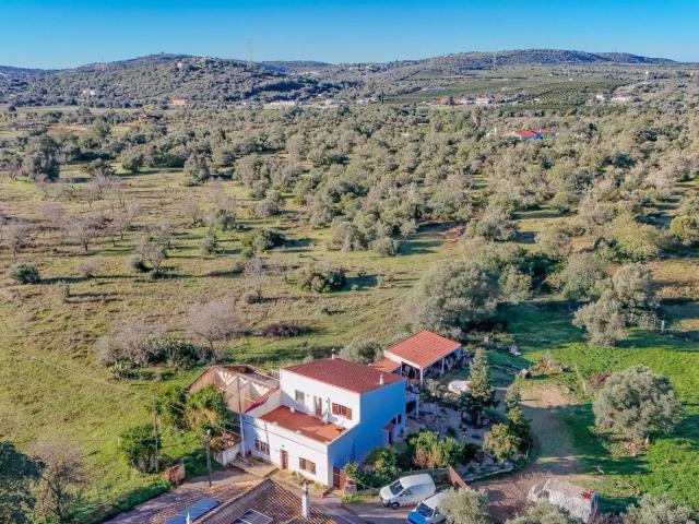 Quinta com Moradia e Terreno de 6.760 m² em Paderne 84m² Paderne