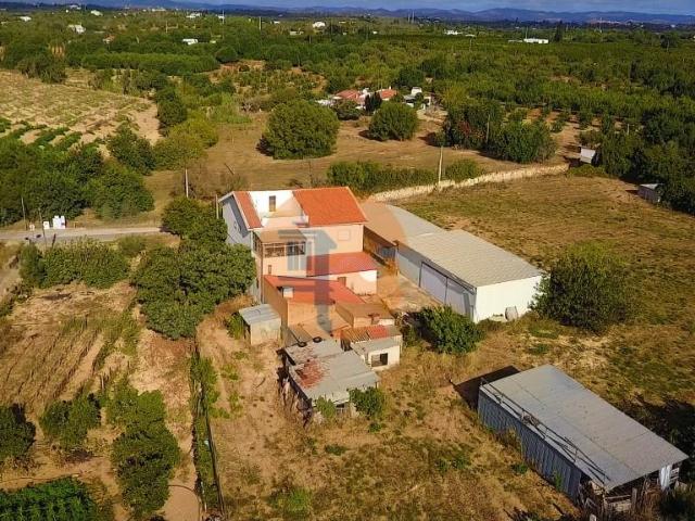 Quinta com moradia e armazéns e terreno de 5.450m2 242m² Tavira santiago