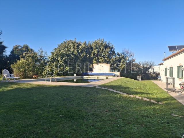 Quinta com Moradia e Piscina | Beja