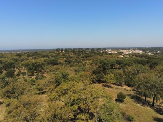 Quinta com moradia em Melides