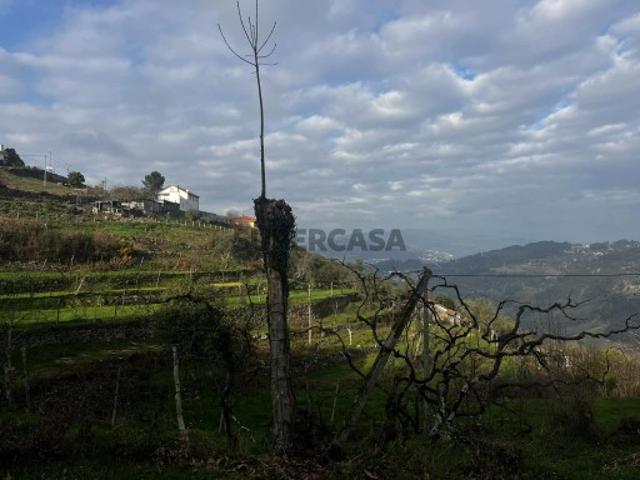 Quinta com moradia em pedra Cinfães