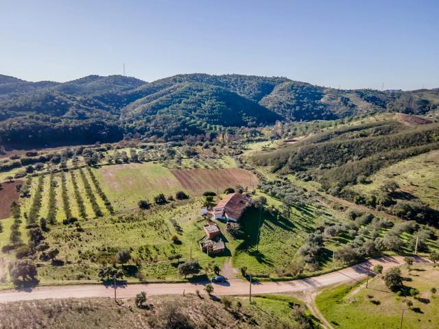 Quinta com moradia para reabilitação, na zona de Messines