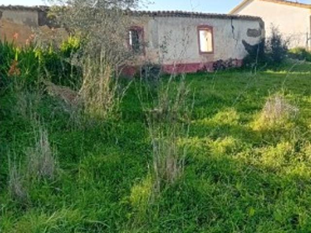 Quinta com moradia para recuperar Silves