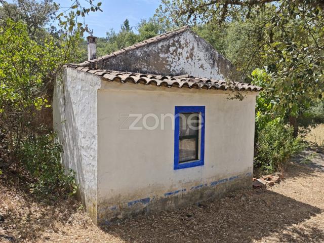 Quinta com moradia T2 inserida em terreno de 59.680 m²