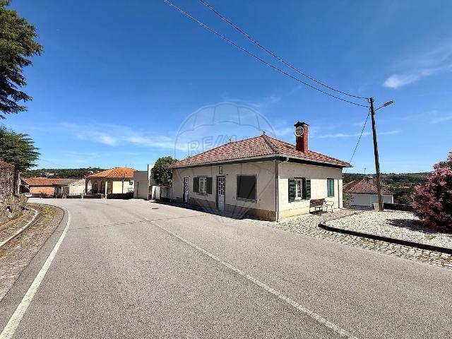 Quinta com Moradia T2, Vinha DOC Dão e Olival | 7.714 m² | Mesquitela, Mangualde