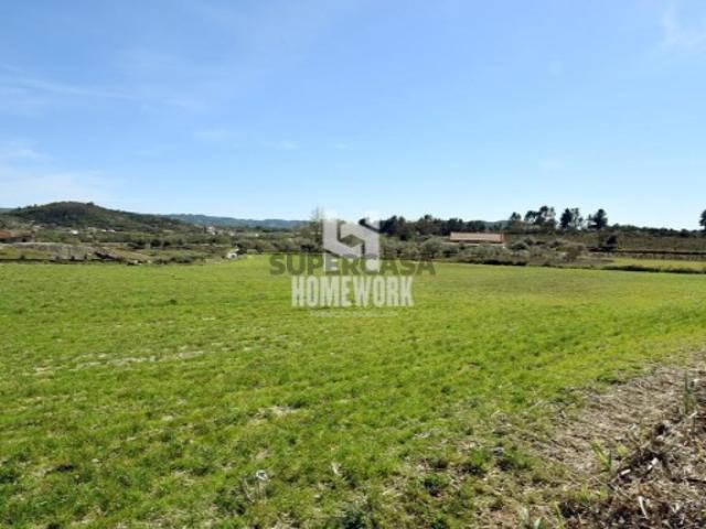 Quinta com Moradia T3 Belmonte