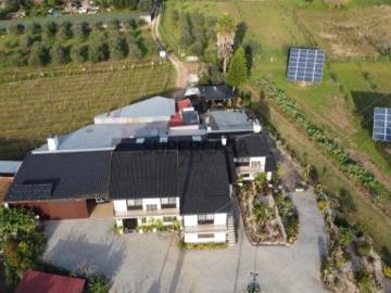 Quinta com moradia T4, anexos, área de lazer, vinhas em 19.000m2 de terreno na Bairrada Mealhada