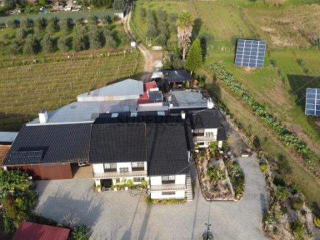 Quinta com moradia T4, anexos, área de lazer, vinhas em 19.000m2 de terreno na Bairrada Mealhada
