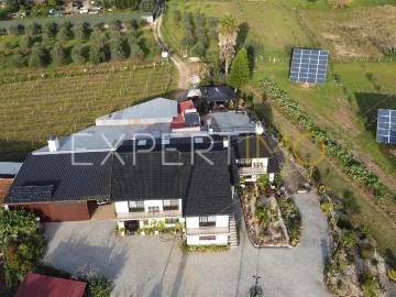 Quinta com moradia T4, anexos, área de lazer, vinhas em 19.000m2 de terreno na Bairrada Mealhada