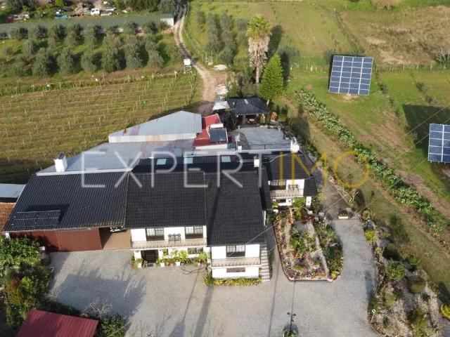 Quinta com moradia T4, anexos, área de lazer, vinhas em 19.000m2 de terreno na Bairrada Mealhada